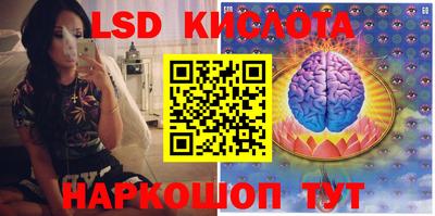 ПСИЛОЦИБИНОВЫЕ ГРИБЫ Кинель