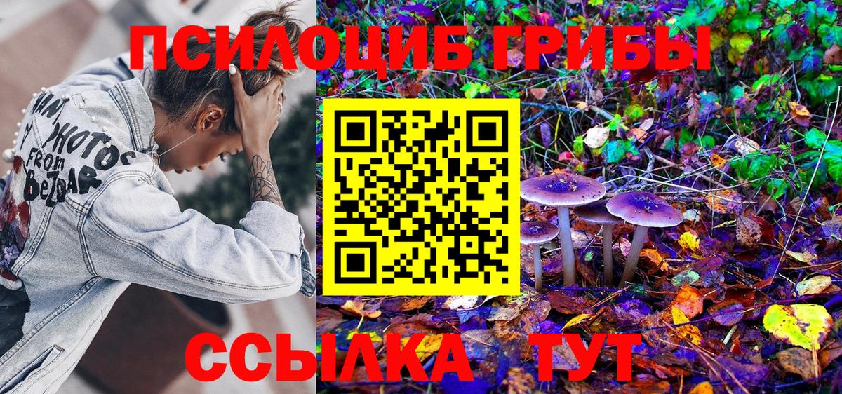 Галлюциногенные грибы Magic Shrooms Ярославль